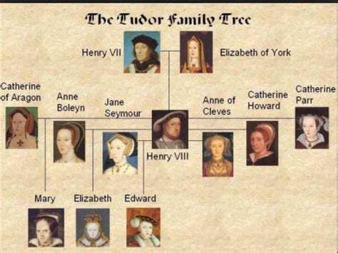 tudor inglesi|tudor kingdom of england.